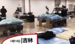吉林某高校爆料视频最新,揭秘校园内幕